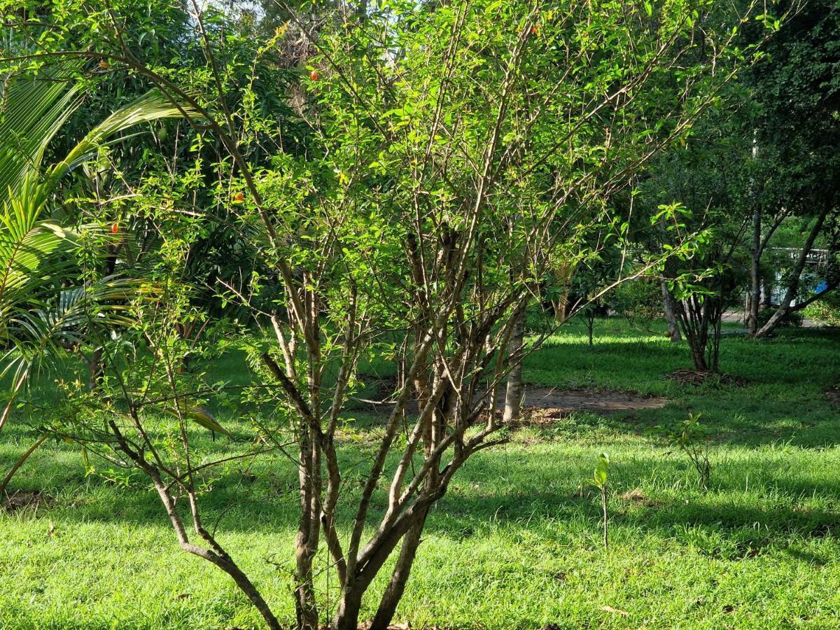 Sigiriya Cottage Luaran gambar