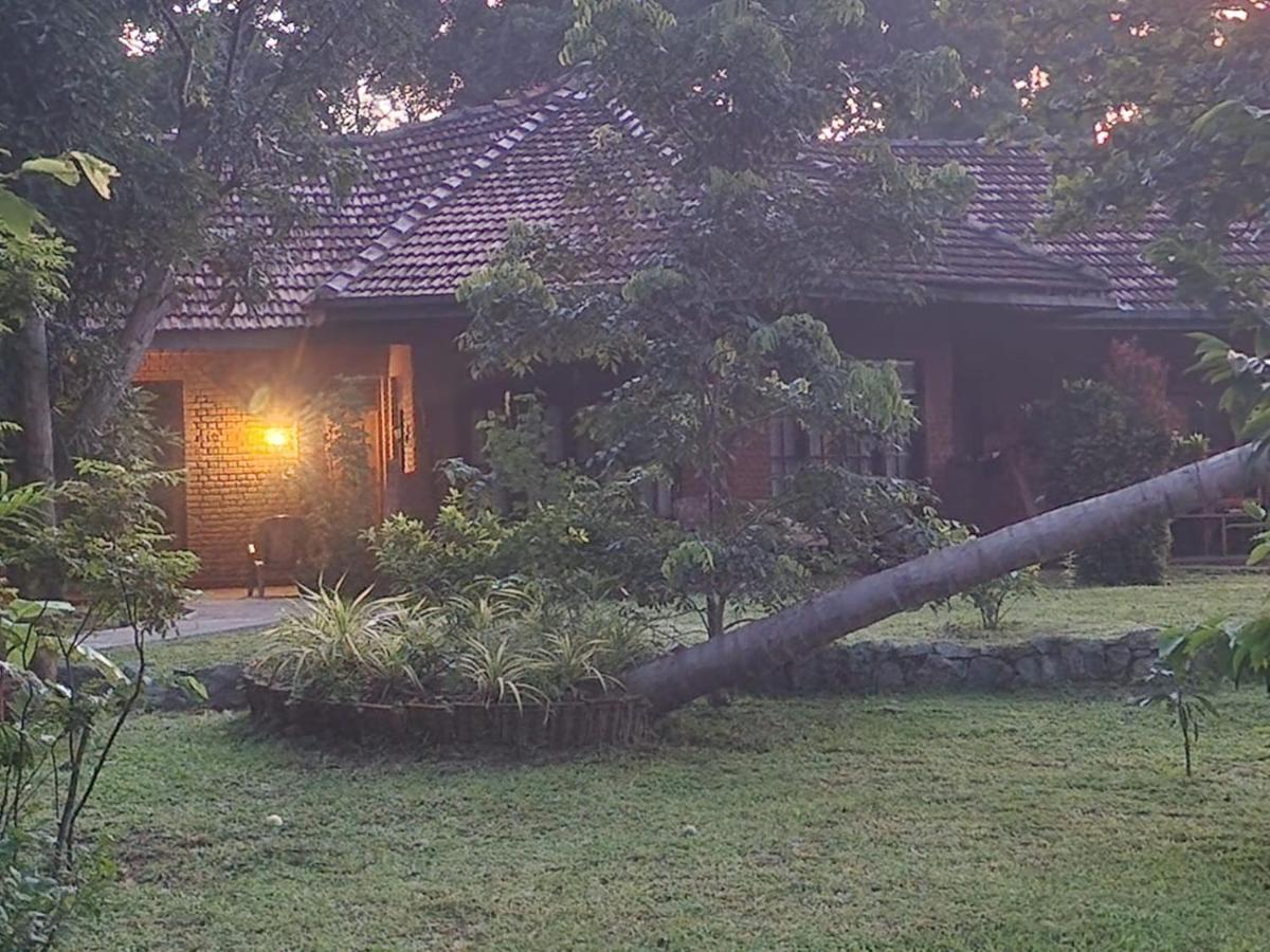 Sigiriya Cottage Luaran gambar
