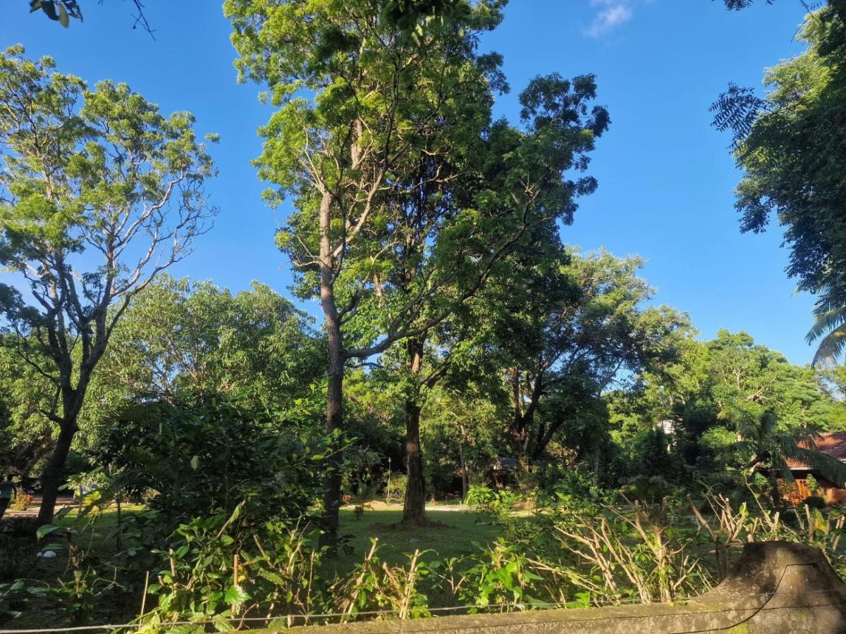 Sigiriya Cottage Luaran gambar