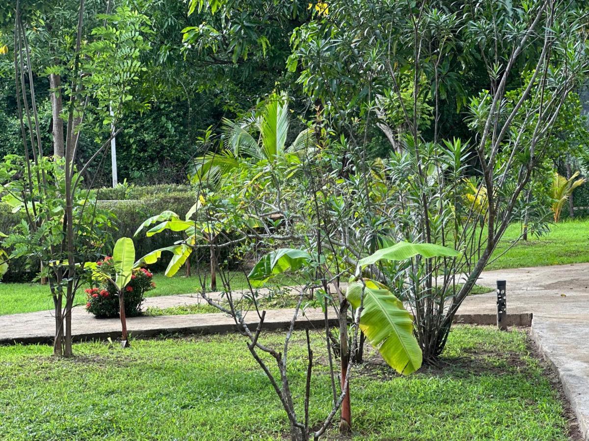 Sigiriya Cottage Luaran gambar
