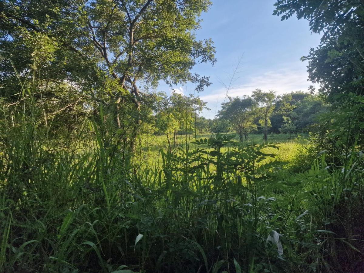 Sigiriya Cottage Luaran gambar