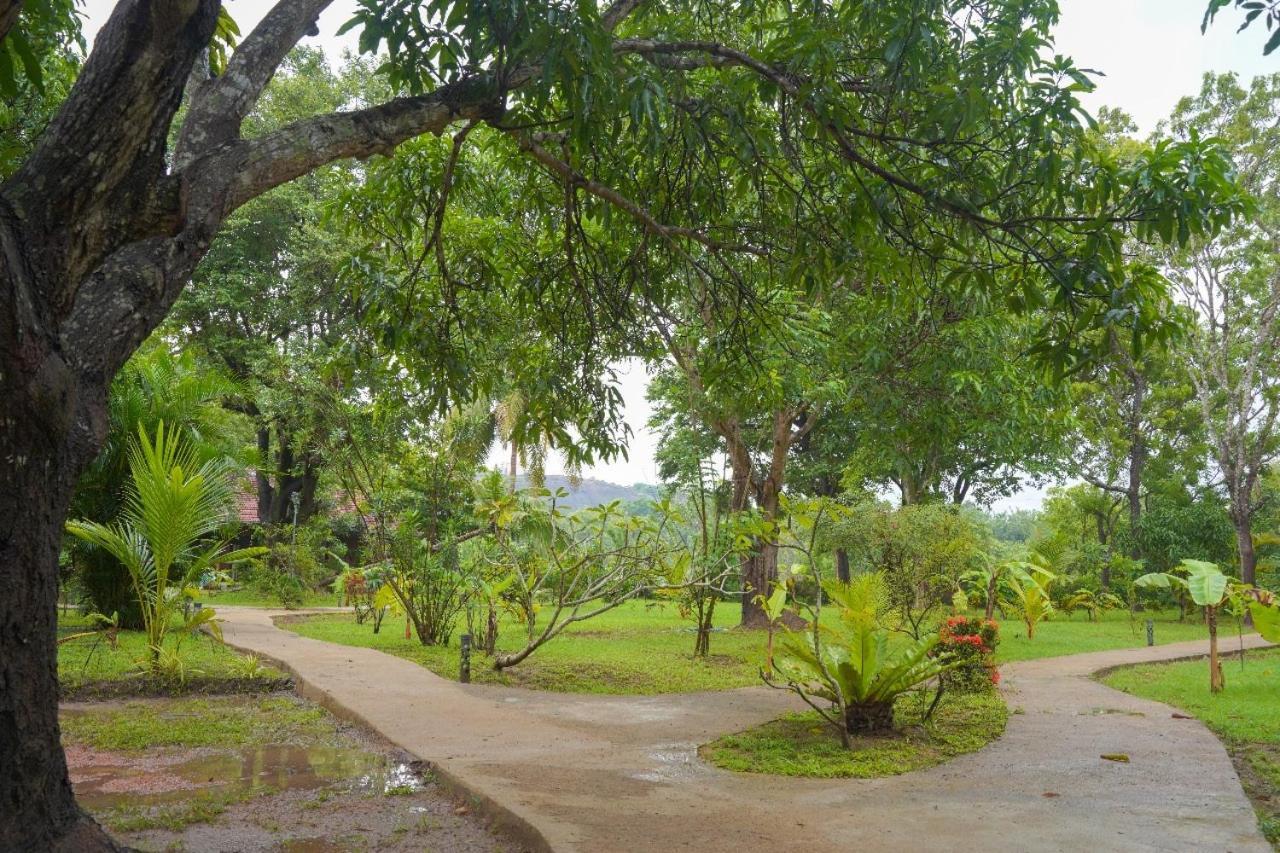 Sigiriya Cottage Luaran gambar