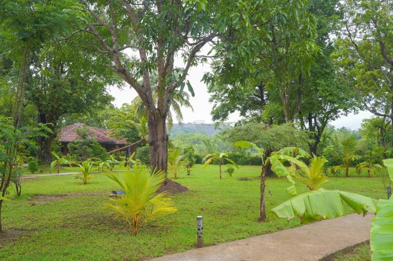 Sigiriya Cottage Luaran gambar